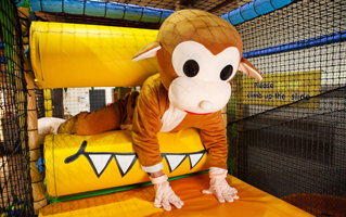 Jungle Jack Soft Play Newquay